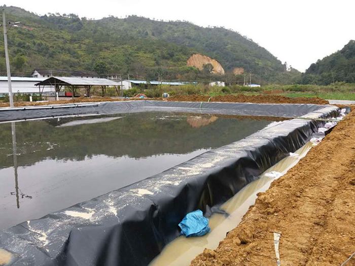 魚(yú)塘里用土工膜做防滲層需不需要回填土壤？